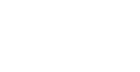 The Denim Company